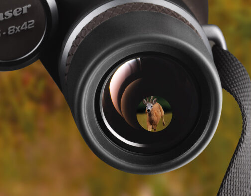 Blaser Fernglas 8x56 – Bild 4
