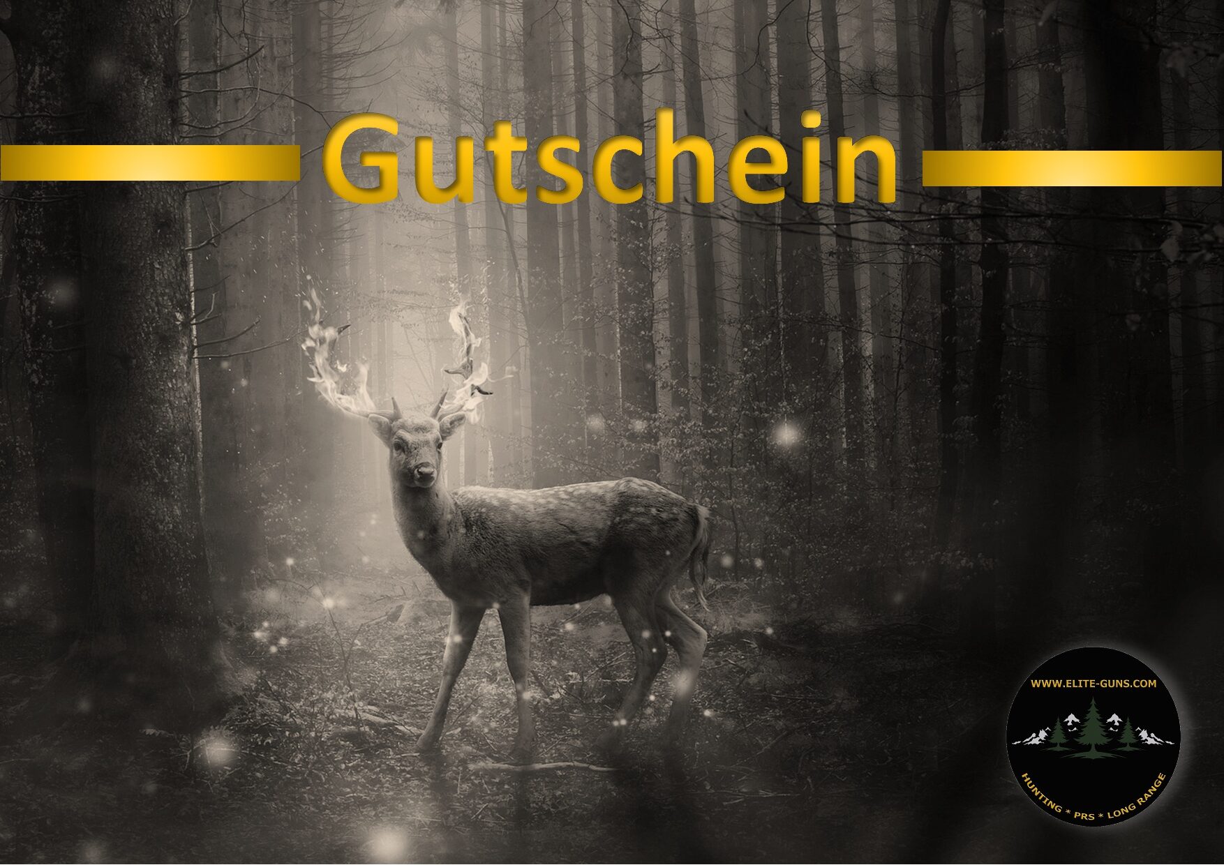 Elite Guns Gutschein